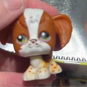 Littlest Pet Shop Brown and White Puppy Figure